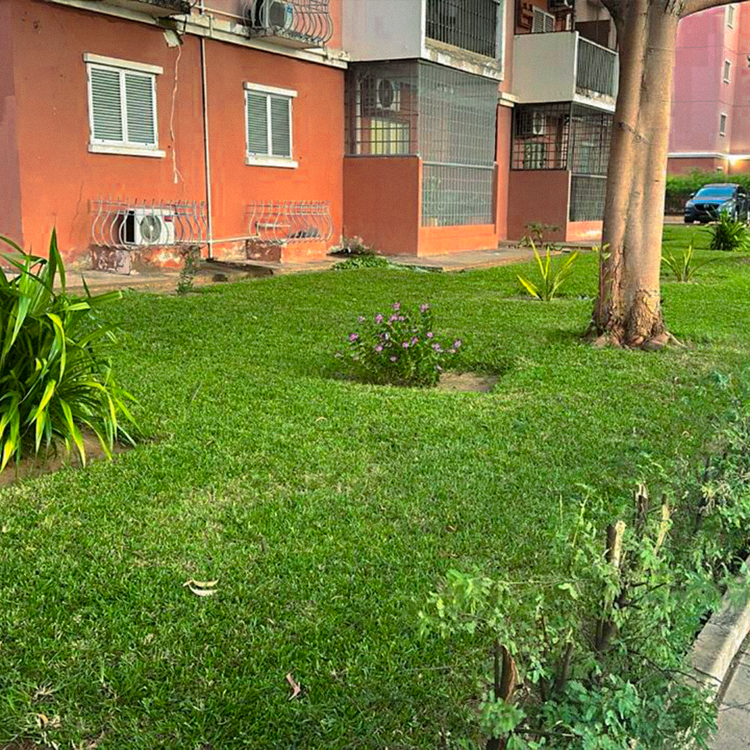 Jardim Vertical