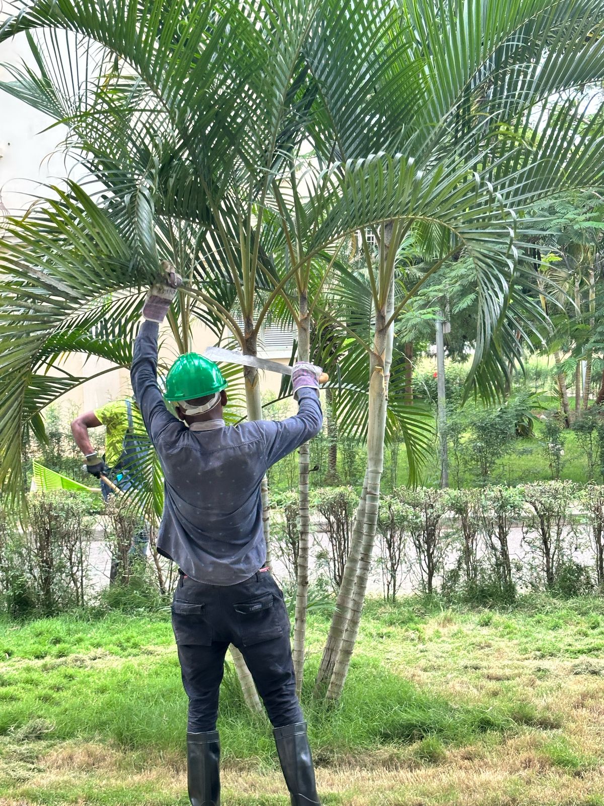 Jardim de Inverno